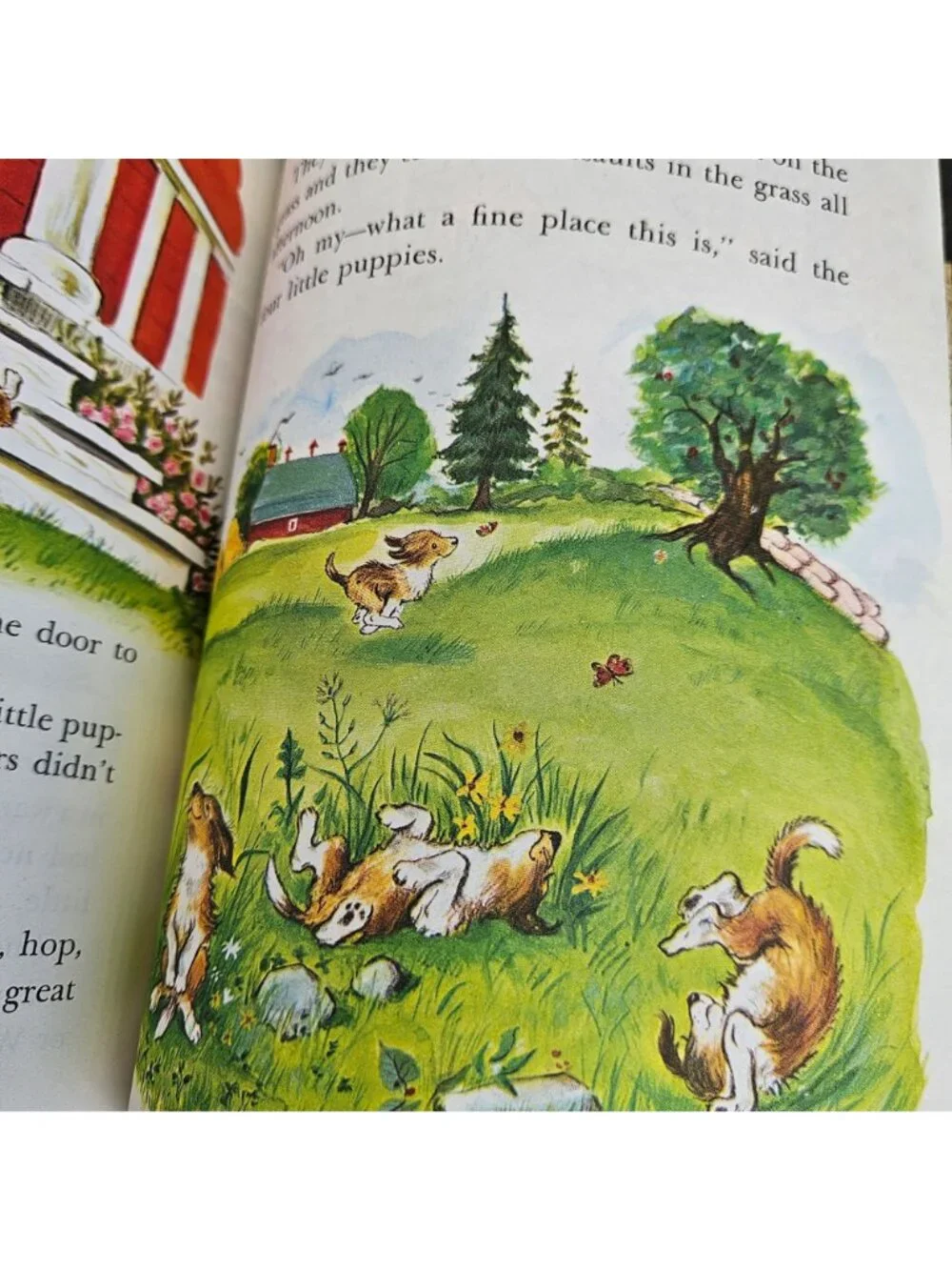 Vintage Dog Lover Instant Collection 1960s Lot Little Golden Book Four Puppies